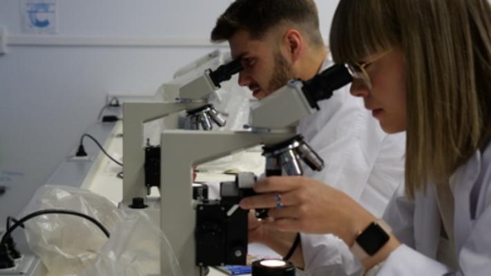 En un laboratorio, dos personas realizan diversas observaciones mediante el uso de un microscopio